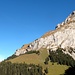 Der Hahnen von unten