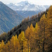 Blick nach Süden -> Mischabelgruppe
