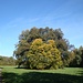 in Hartmannshofen