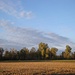zwischen Dachau und Grasslfing 2