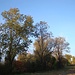 zwischen Dachau und Grasslfing 4
