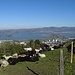 Blick auf Pfäffikon und den Zürichsee