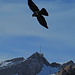 Säntis mit Flugkünstler, Foto von meinem Sohn.