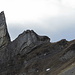 Im Abstieg zur Altenalp: Rückblick zum Steckenbergsattel (mit 3 Personen).