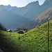 Zwischen Sonne und Schatten. Und Freiluft-Drähte...