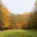 Trebnitzgrund, Herbstimpressionen