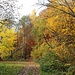 Trebnitzgrund, Herbstimpressionen