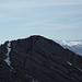 Gipfelaspiranten kurz vor dem Ziel (Zindlenspitz), im Hintergrund die Gletscherflächen unter dem Spannort