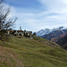 Guarda