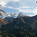 Farbtupfer im dunklen Grün