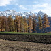 Das Land in Bearbeitung
