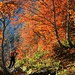 Herbst im Bergleintal