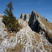 Im Wiederaufstieg zu P. 1874: Blick zurück zum Vanil d'Orseire