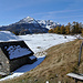 La Colmine