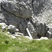 Die beruhmte Hangebrucke am Exnerturm, am Ende des Tridentina Klettersteig.