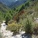 Oberer Einstieg in den Baranco del Marmol