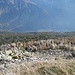 ... sondern auch in der grossen Landschaftssicht - hier der Blick vom Matro ins Blenio-Tal hinunter