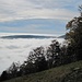 nur ganz knapp ragen die Magglinger Höhen über den Nebel hinaus; rechts ist ansatzweise der Anstieg zum Mont Sujet erkennbar