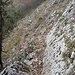 Pfädli 8 führt lauschig den Kletterwänden entlang ins Tal zurück