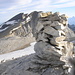 Der Gipfel des Schöllihorn 3500m