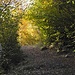 Licht am Ende des Tunnels