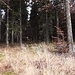 Aufstieg zum nächsten Kopf...