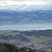 Blick nach Wald hinunter; im Hintergrund die innerschweizer Alpen