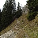 Der Weg zum Hennenkopf kurz vor dem Zusammentreffen mit dem Brunnenkopf-Pürschling-Höhenweg.
