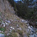 Am "Pü.", dem Kurzabstieg vom Brunnenkopf-Pürschlings-Höhenweg zum Max-Weg.
