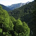 Bergwaldidyll: tief unten der Erzbach