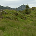 idyllischer Grasfleck am südlichen Grat, Blick zum Kienjoch (?)
