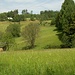 Blick nach Großenreuth