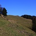 Über den schönen Grat, welcher zwischen Wald und Wiese abwechselt, steigt man in Richtung Chrüzegg - Chümibarren auf. <br /><br />Der Fotostandort ist bei der Alphütte Im Chabis (1179m).