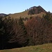 Aussicht unterhalb des Gipfels der Chrüzegg - Chümibarren zum Habrütispitz (1275m).