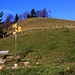 Die weglose Südflanke vom Gipfel Chrüzegg - Chegelboden (1314m) .