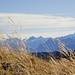 ... wie auf der Äbnistetteflue zu Titlis und Co. ist erfreulich ...
