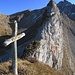Das Gipfelkreuz auf dem Waldbrueder.
