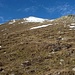 Aufstiegshang bei der Alp Griatschouls