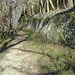 nach dem Steinernen Tor führt der Weg an der Mauer entlang zum Kastanienwald