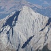 Risser Falk(ZOOM)