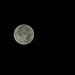 An diesem Tag abends ist Vollmond. Der Mond ist jetzt so hell, dass es mit dem Zoom Schwierigkeiten gibt.
Aufnahmedatum 11.11.11/4.42Uhr