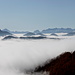 ...........heaven above the fog   2