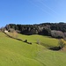 gemütlich und herbstlich schön ist's am Start beim Parkplatz Chrinnen