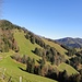 erst abwärts um den Schwarzenberg herum; bei der goldenen Birke auf dem flachen Ausläufer geht's anschliessend Richtung Töbeli hinab
