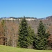 die Flühe der Höchhand