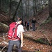 Auf dem Weg in die Schlucht