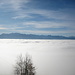Nebelmeer über dem ZH-See. Auch wenn uns davor graute, wir mussten in die Suppe runter