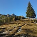 Spätherbst im Karwendel - Abstieg von der Solnalm