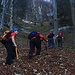 Foto vom 4.HIKR-Treffen in Cholihütte am 12./13.11.2011.<br /><br />Unterhalb vom steilen Ausstieg der Ostwand welcher direkt auf den Hutgipfel des Schwarzenberges (1293m) leitet.