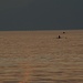 I vogatori al tramonto sul Lago Maggiore